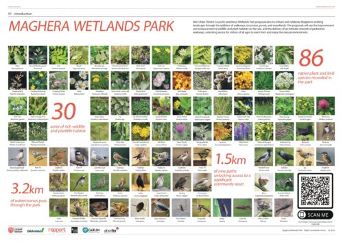 Maghera Wetlands Park Proposal Board 1 showing diverse wildlife and plantlife habitats created.