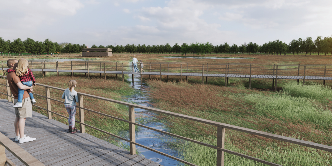 MWP1 CGI Image of proposed Maghera Wetlands