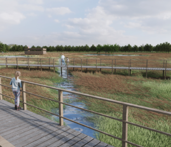 CGI Image of proposed Maghera Wetlands